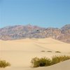 Mesquite Sand Dunes 2